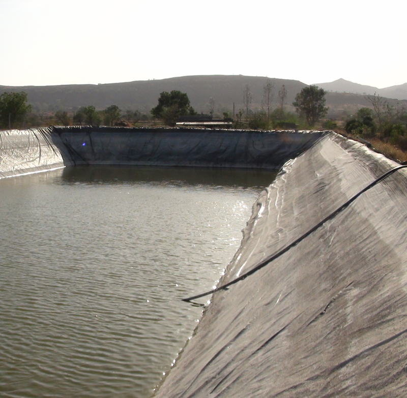 Farm Pond