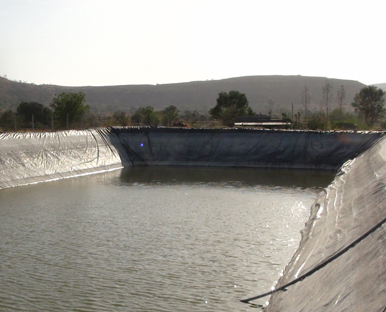 Farm Pond